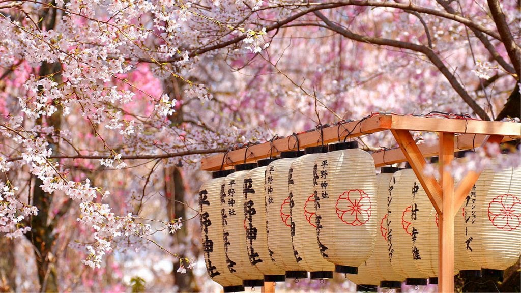 Sakura y la llegada de la Primavera