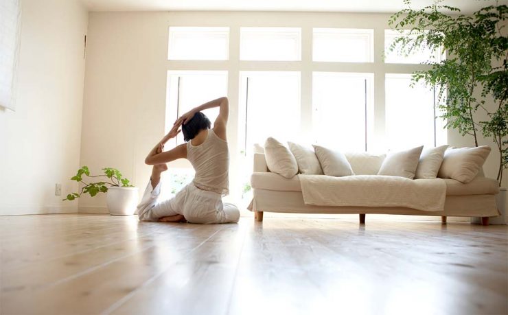 Plantas en sintonía con tu hogar para hacer yoga y meditación